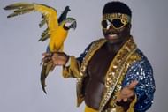 Koko B. Ware and Frankie. Koko is wearing the sunglasses.